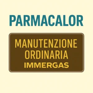 Manutenzione ordinaria e controllo fumi caldaia Immergas a Parma con tecnico Parmacalor