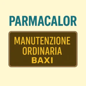 Manutenzione ordinaria e controllo fumi caldaia Baxi a Parma